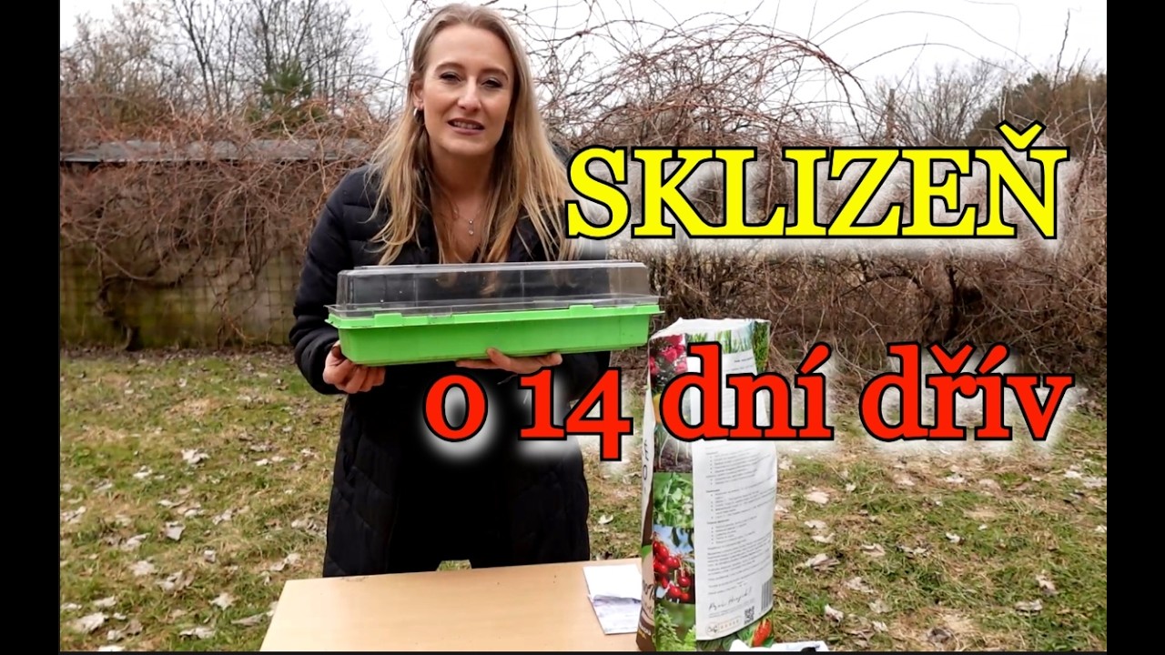 SKLÍZEJTE O 14 DNÍ DŘÍVE | Jak zkrátit dobu a předpěstovat ODOLNÉ A SILNÉ SAZENICE