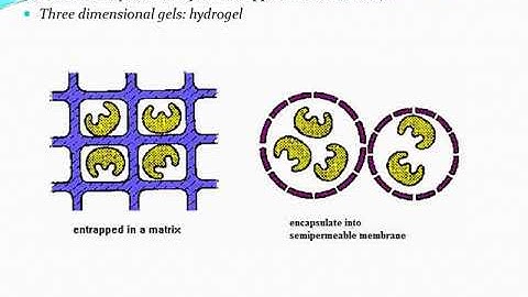 Enzyme Immobilization and Applications