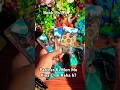 Partner Ki Mon Me Kiya Chal Raha h? 👩❤️👨❤️🍀💐#tarot #curentfeelings #fortune #viralvideo