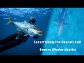Sharks & Kingfish! Exploring and Spearfishing an offshore Island in Auckland's Hauraki Gulf NZ