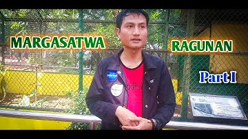 Melihat Species Binatang di Ragunan Zoo | Ridwan Rey Vlog