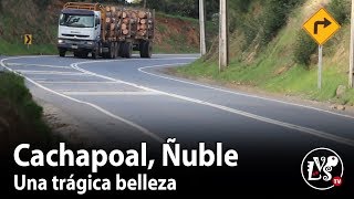 (14) CACHAPOAL DE ÑUBLE: Una trágica belleza