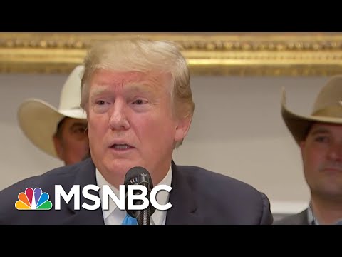 'A Very Stable Genius' Details History As It Happened In Trump White House | The 11th Hour | MSNBC