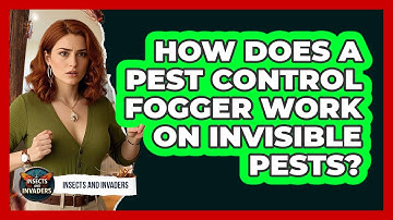 How Does A Pest Control Fogger Work On Invisible Pests? - Insects and Invaders