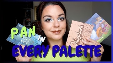 Pan in Every Palette 💖🌟  new pan alert!