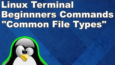 Linux Terminal for Beginners Commands 3: Common File Types