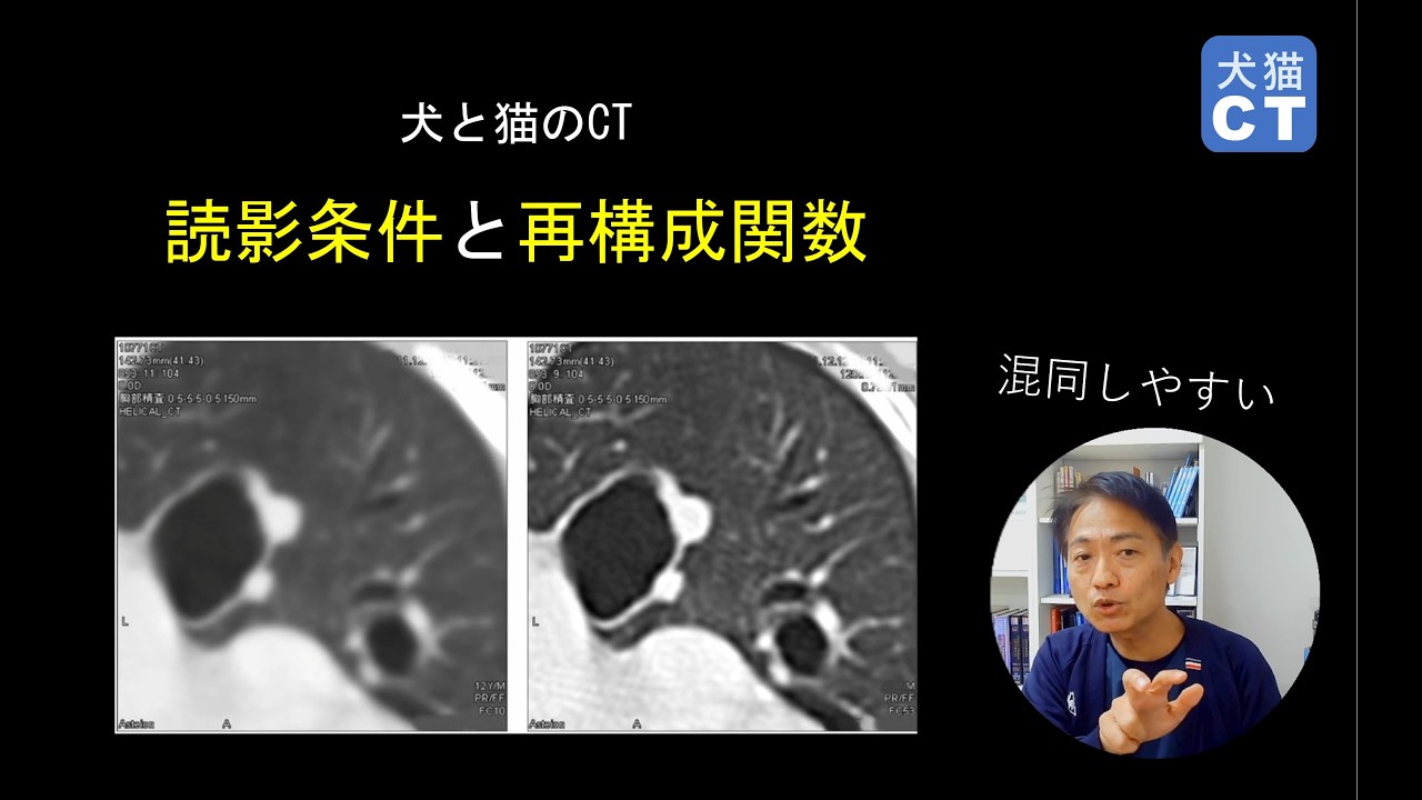For Veterinarians CT Reading Conditions and Reconstruction
