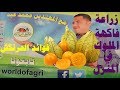 زراعة الحرنكش في المنزل حتي الاثمار