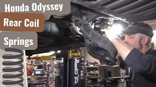 Honda Odyssey: Rear Coil Springs