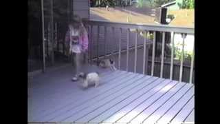 Nicole Lambert - 1991 Snowball And Tinkerbell On The Back Porch