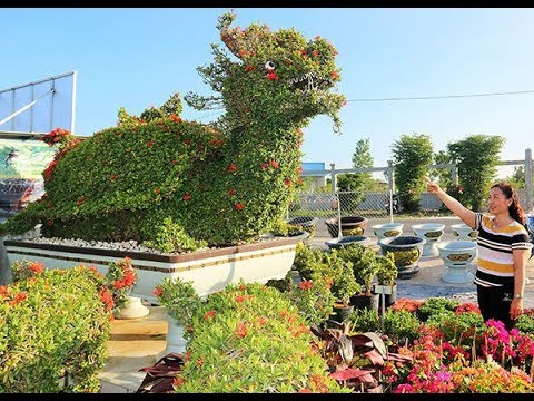 Thăm vườn kiểng thú lớn nhất Cần Thơ