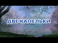 ДВЕ КАПЕЛЬКИ муз.Сергея ШЕВЧЕНКО сл.Тамары ИВАНОВОЙ исп.Сергей ШЕВЧЕНКО