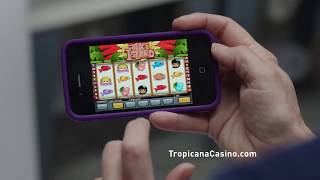 Tropicana- Lost Sock Spot 2015