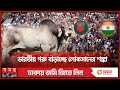       qurbani  cow farmer  eid aladha  cattle farm  somoy tv