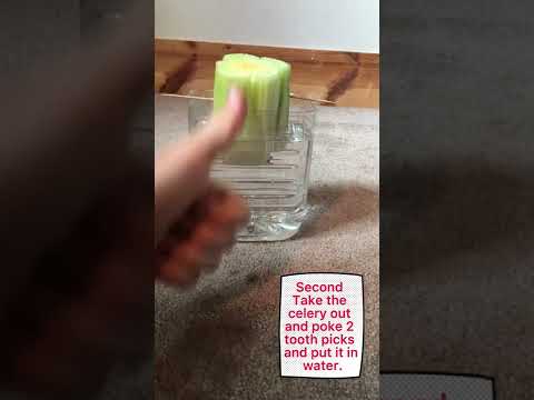 How to grow