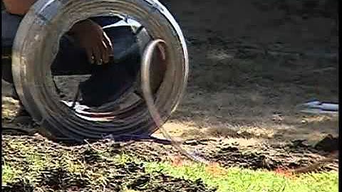 Rain Bird XFS Subsurface Dripline Installation   YouTube