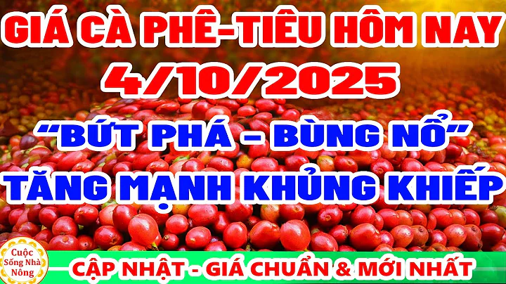 Giá cà phê hôm nay ngày 4/10/2025 | TĂNG MẠNH KHỦNG KHIẾP - giá tiêu hôm nay