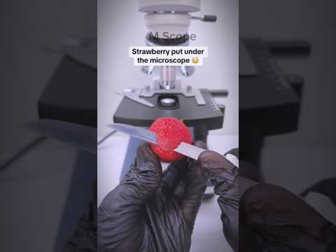 Strawberry 🍓 Put