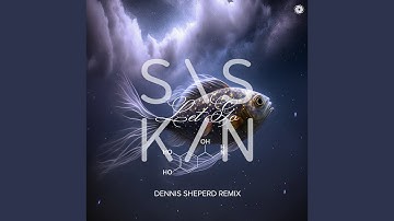 Let Go (Dennis Sheperd Extended Remix)