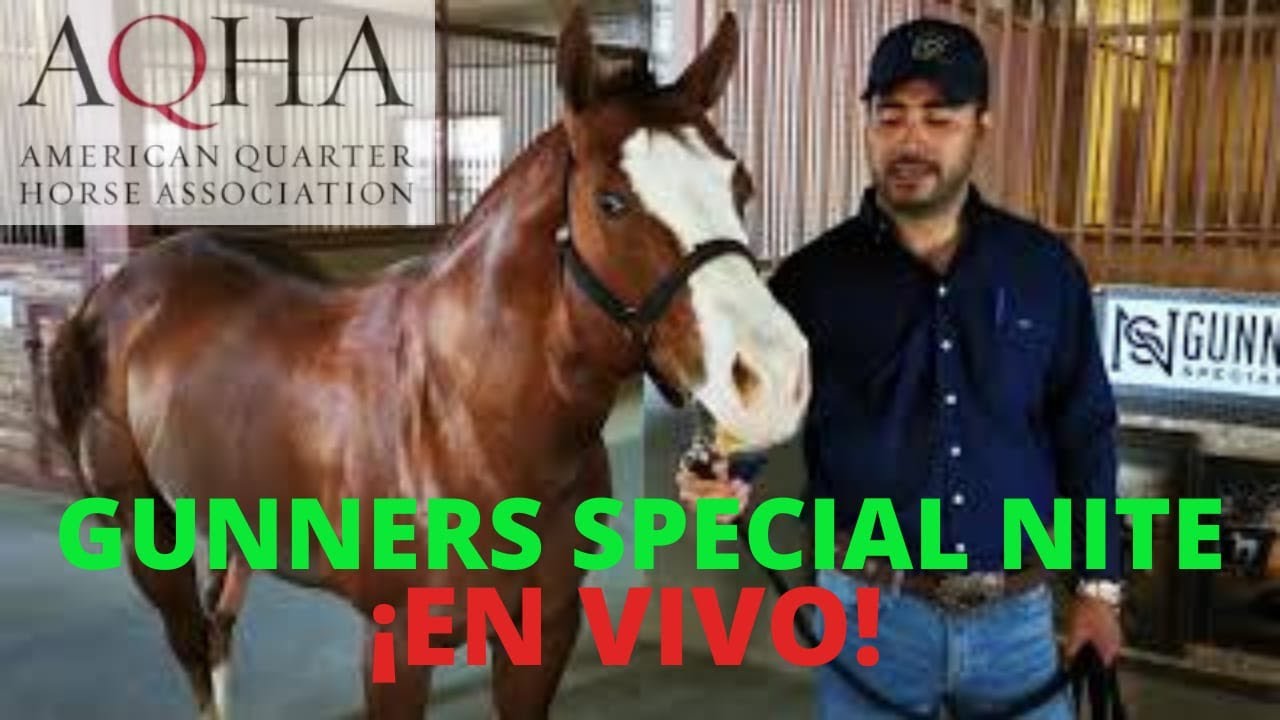 Gunners special Nite en vivo y en directo.