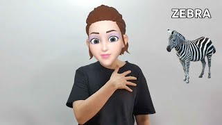 American Sign Language (ASL) Lesson: Zebra
