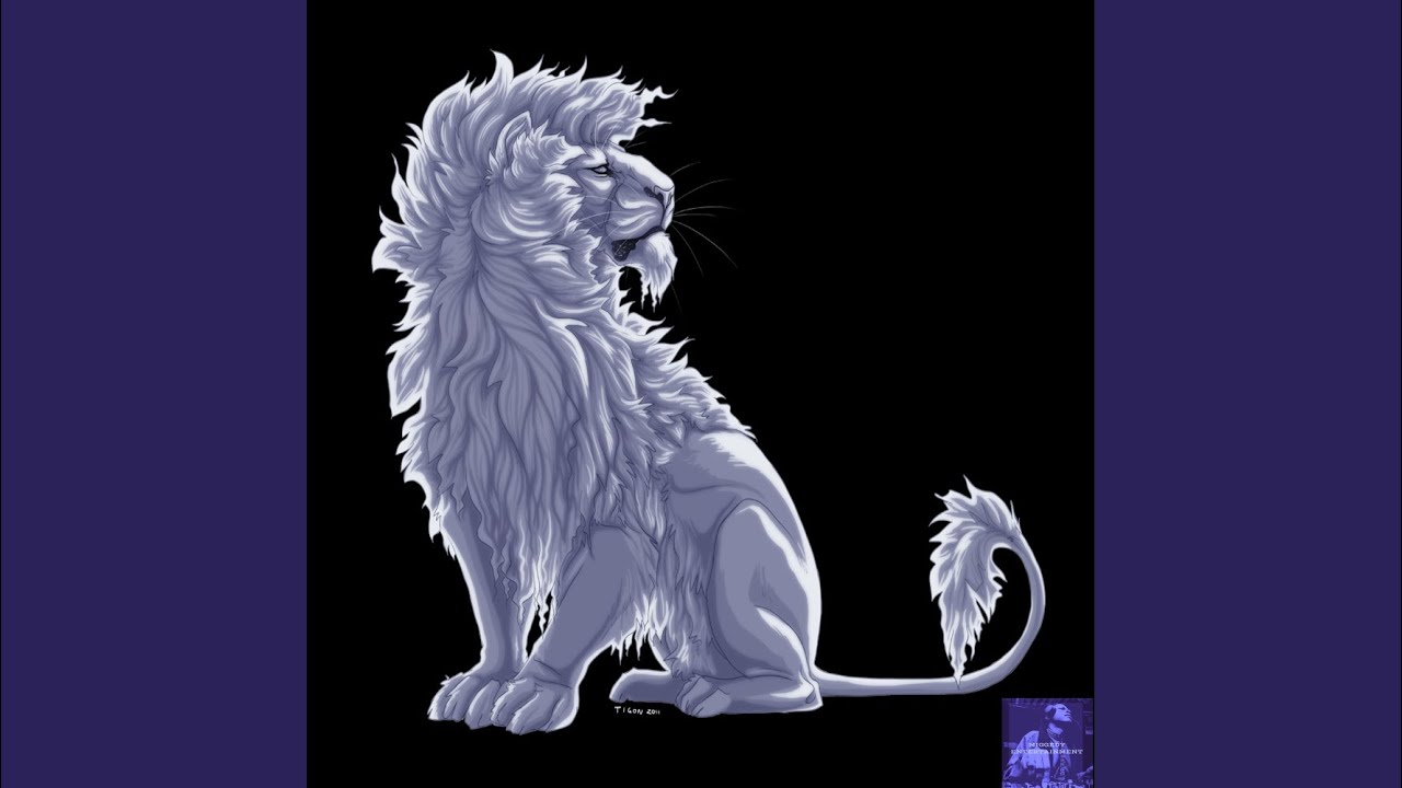 The Year Of The Kat (Miggedy's 2025 Full Dizko Slap)