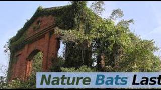 Science Snippets: Malnutrition Driven by Invertebrate Apocalypse