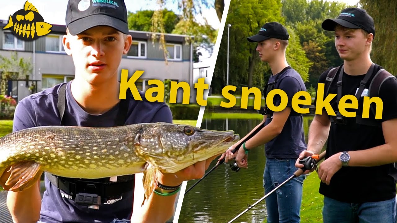 Opwekking vier keer dodelijk Snoeken vanaf de kant in Rotterdam – CHALLENGE: Vang Esox met hardbait,  softbait, spinner & topwater - YouTube