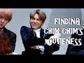 BTS FINDING CHIM CHIM&#39;S CUTENESS[PARK JIMIN]