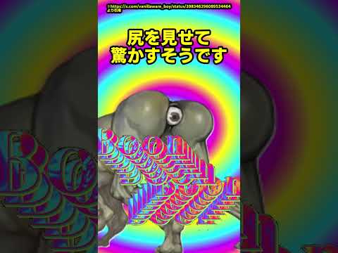 一度見たら絶対に夢に出る、最悪の見た目をした妖怪 #shrots
