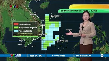 Dự báo thời tiết biển ngày 12/4/2023 | Ngư trường cá ngừ đại dương | VTVWDB