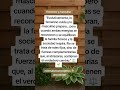 Lo femenino cuida y lo masculino prepara. #minimalismoenergético #amor #frases #viral #autoestima