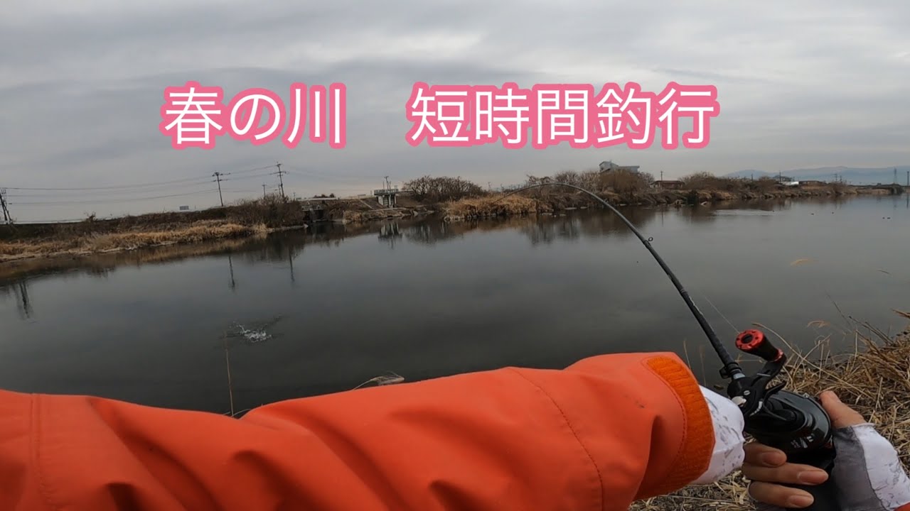 春のメジャー河川　短時間釣行【熊本バス釣り】