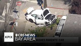 Two Young Children Crash Parent's Car into a Woman Walking her Dog