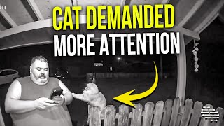 Cat Demanded More Attention From Dad When He Stopped Petting Him