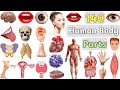 Body parts vocabulary ll 140 human body parts name in english with pictures ll parts of the body