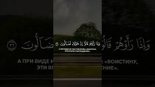 🎧 ↴❒Surah Al-Mutaffifin | verses 29-36 ❒Rezitator | Siratullo Raupov
