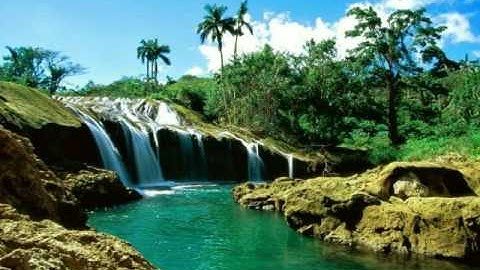 سورة الفاتحة تلاوة خاشعة تريح القلب