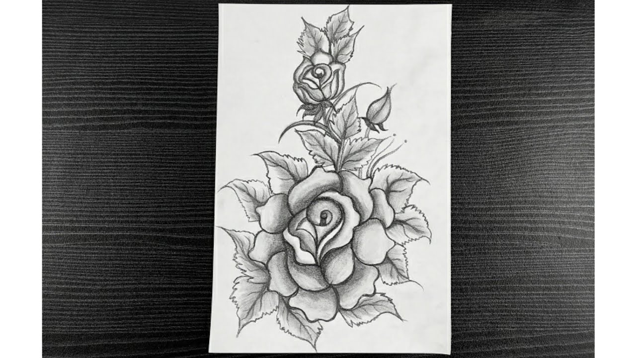 40+ How to Draw a Rose? Easy Rose Drawing Tutorials | HM ART | Artistas,  Muebles con palets, Palets