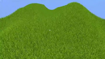 Vulkan Grass Simulation and Rendering