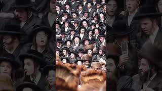 Satmar Rebbe Hachnosas Sefer Torah - Newly Renovated Satmar Beis Medrash - Lag Baomer 2026