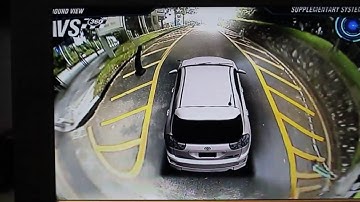 3D  360 degree SURROUND VIEW MONITORING SYSTEM