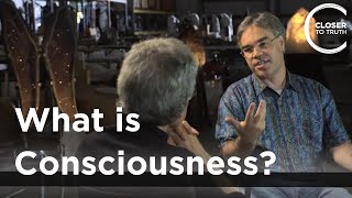 Eric Schwitzgebel - What is Consciousness?