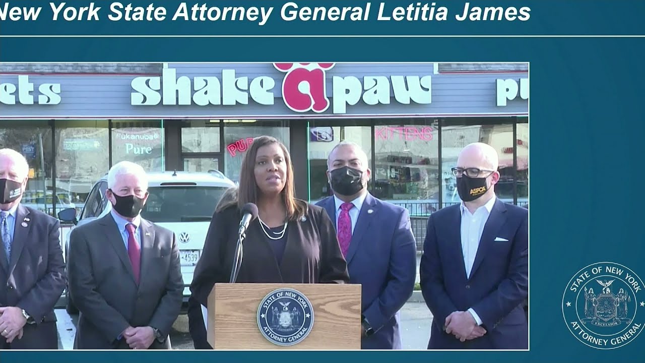 AG James files suit against Shake-A-Paw pet store for misrepresenting health of puppies