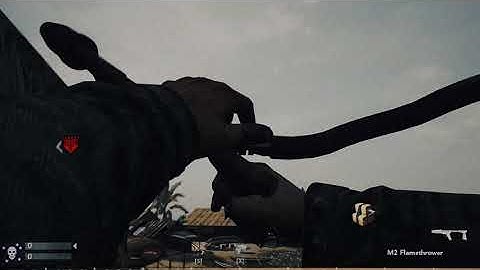 Introducing Cleve Exzy 