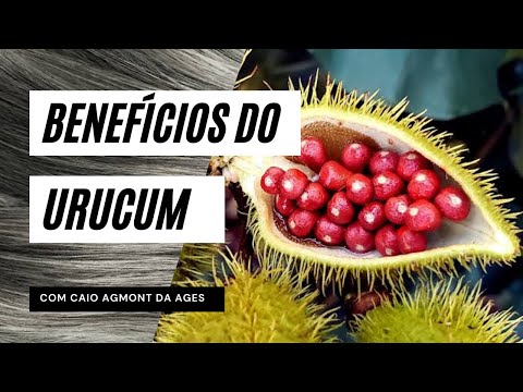 Vídeo: Por que o urucum é ruim para você?