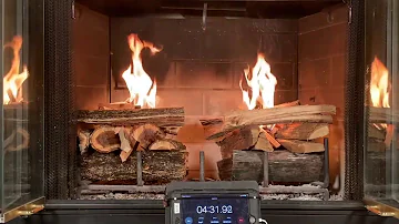 Green Wood vs Seasoned Wood Firewood Smoke Test | Full Service Chimney