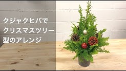 花屋のゆうくん Youtube
