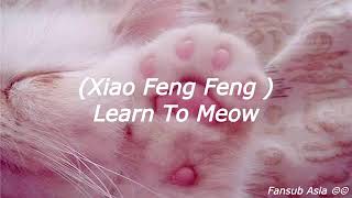 Learn to meow // Xiao Feng Feng