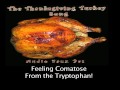 The Thanksgiving Turkey Song By Artist Audio Faux Pas mp3